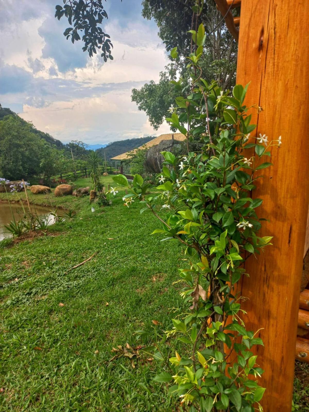 Chale Araucaria- Vale Das Pedras Mg Sapucaí-Mirim Esterno foto